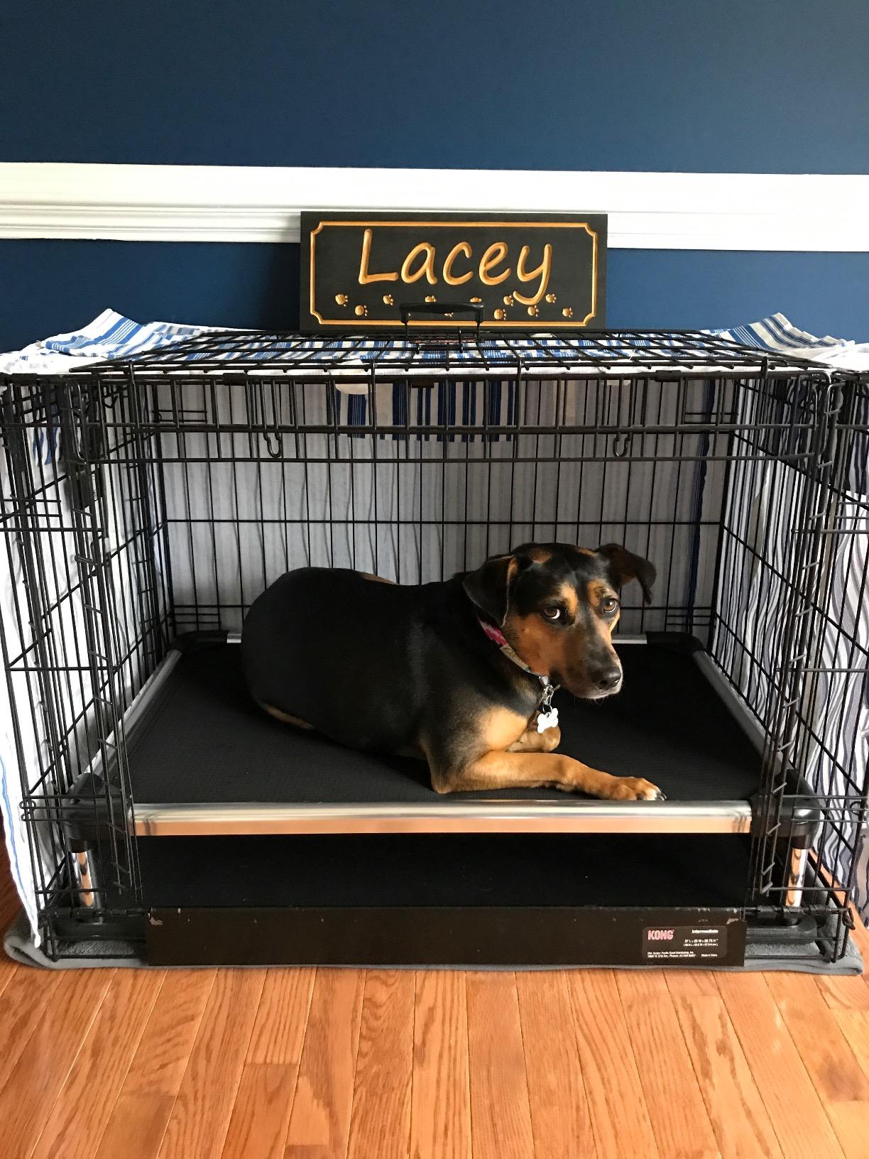K9 Ballistics Chew Proof Elevated Cot Bed, L, Obsidian Black Ripstop customer photo 2