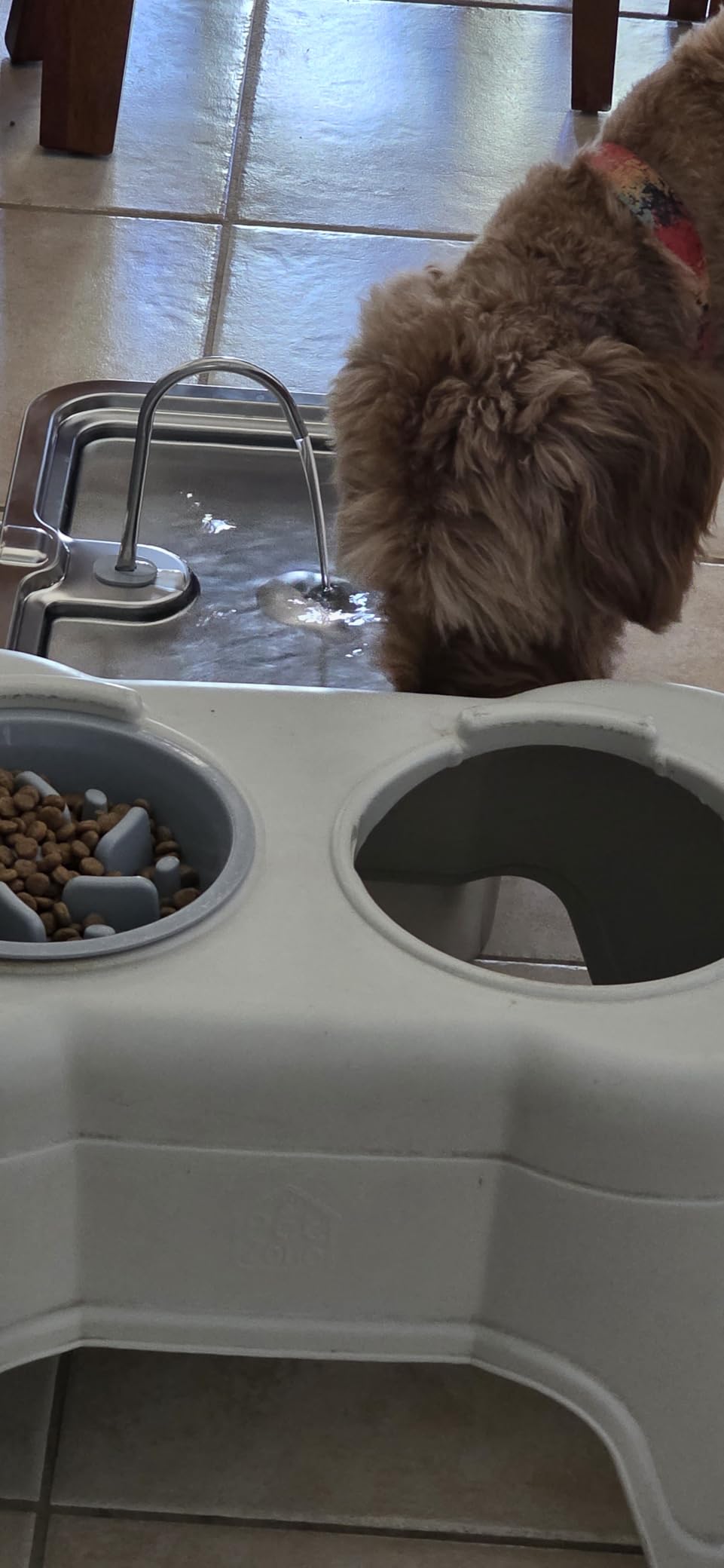 4.2Gal Dog Water Fountain for Large Dogs, 16L Stainless Steel Large Dog Fountain Water Bowl with Deeper & Wider Drinking Tray, Automatic Pet Water Dispenser with Visible Window for Multi-Pets Families customer photo 2