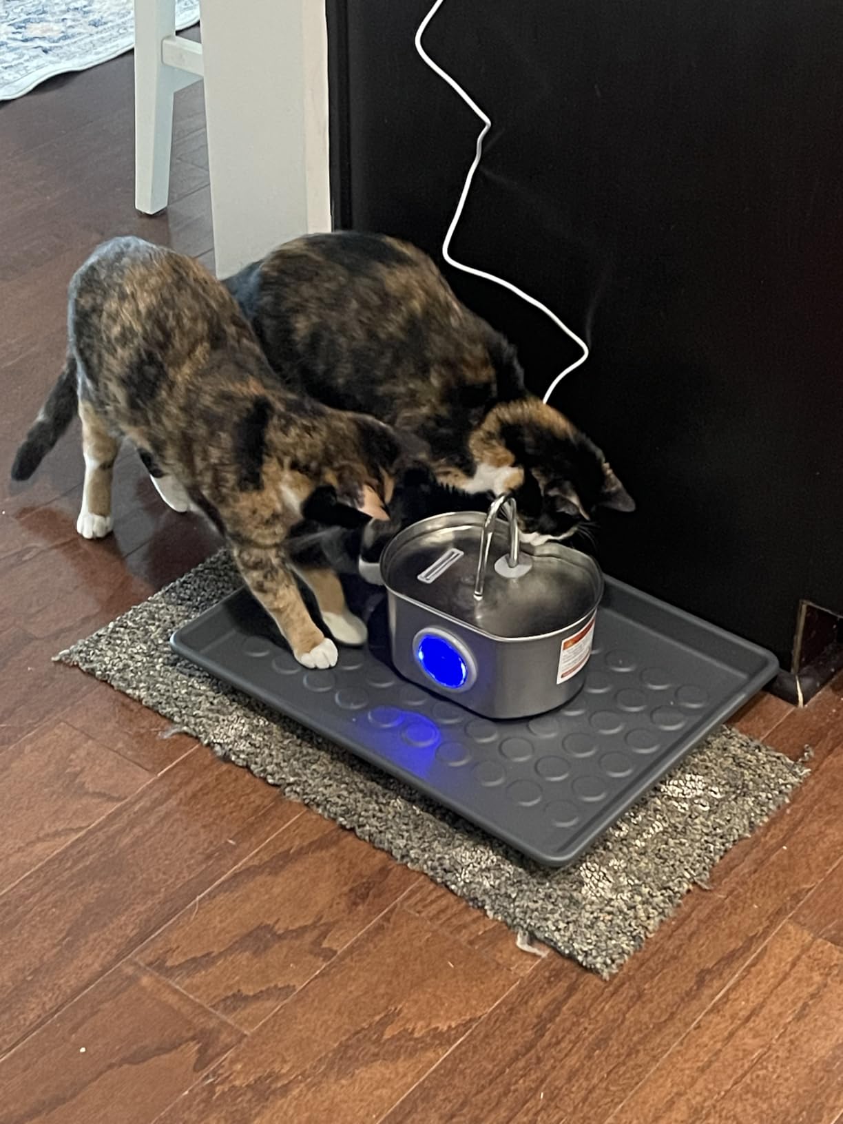 Cat Water Fountain Stainless Steel: 74oz/2.2L Cat Fountain for Drinking customer photo 2