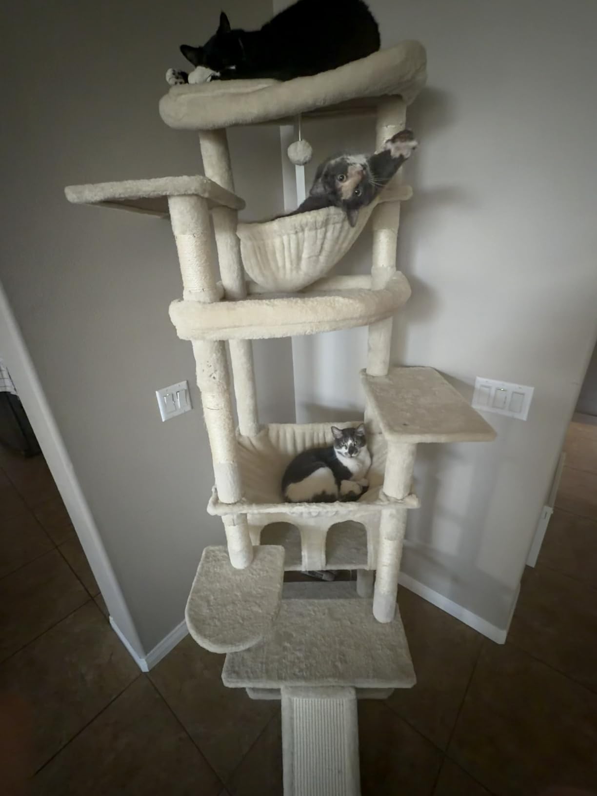 Heybly Tall Cat Tree for Large Cat, 75.2-inch Multi-Level Cat Tower HCT038G customer photo 2