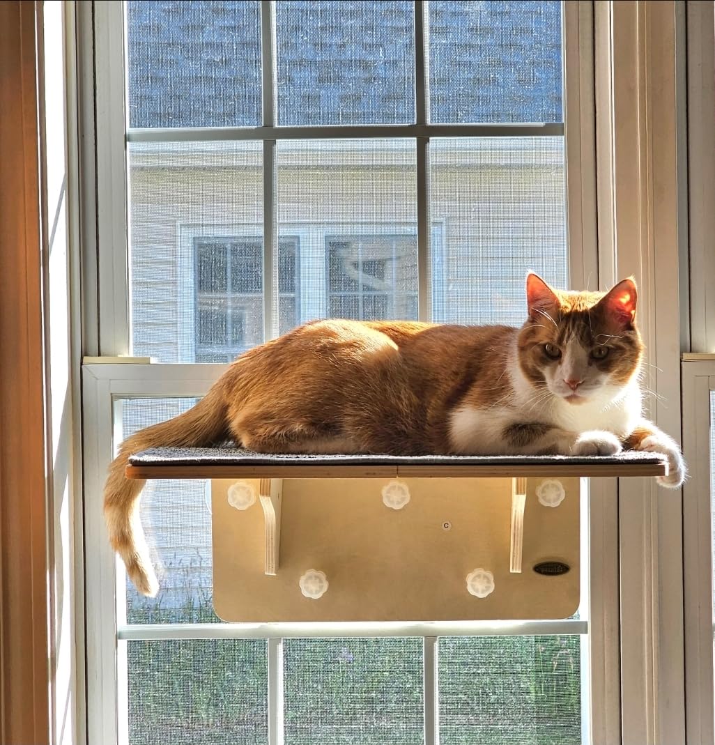 Pecute 2-in-1 Large Cat Window Perch & Wall Shelves, Solid Wood, 21