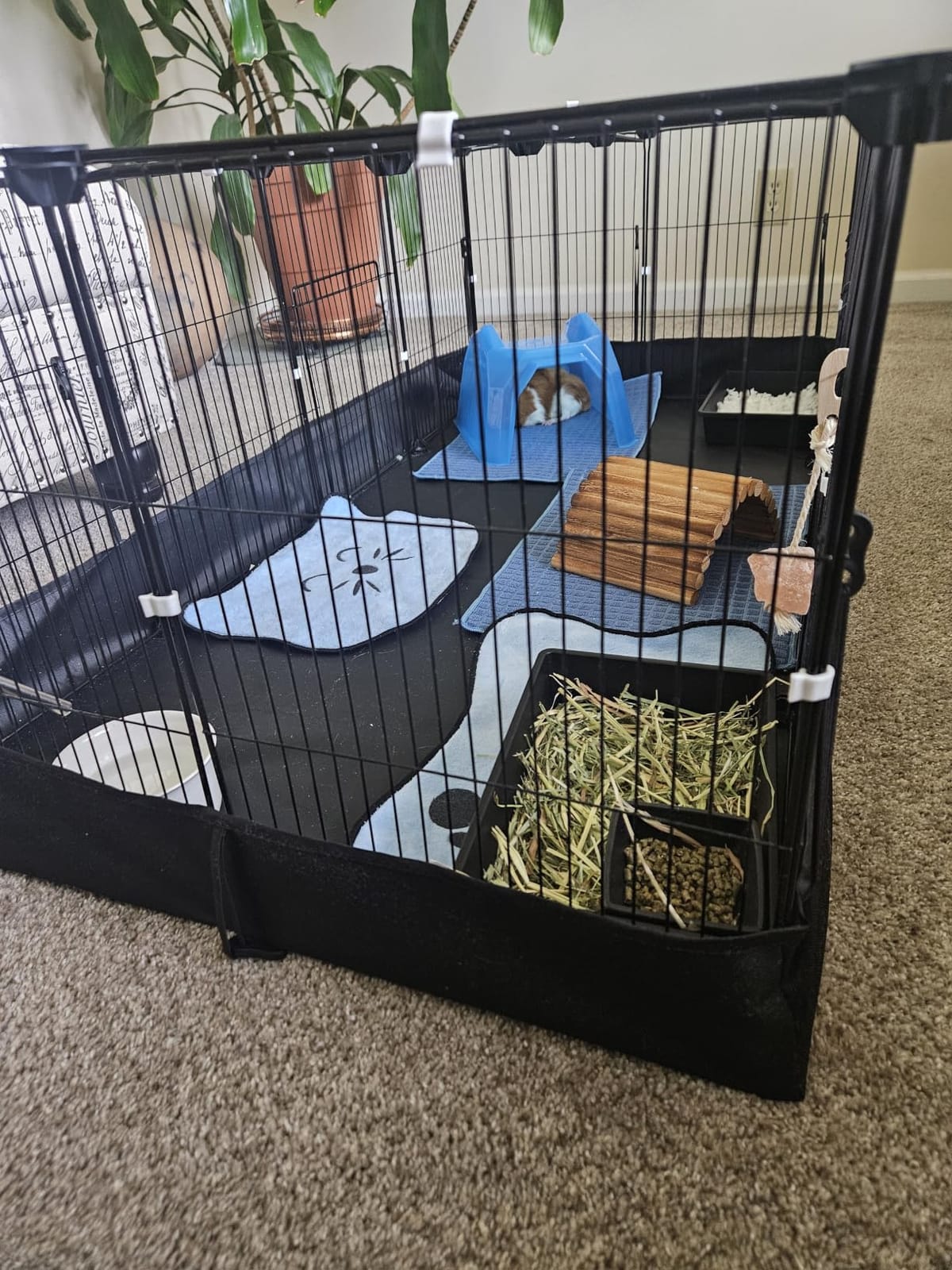 20 Planes Guinea Pig Cages Enclosed Hamster Cage with Door & Waterproof Liner, Expandable Cage for Guinea Pigs, Metal Wire Yard Fence Rabbit Cage customer photo 2