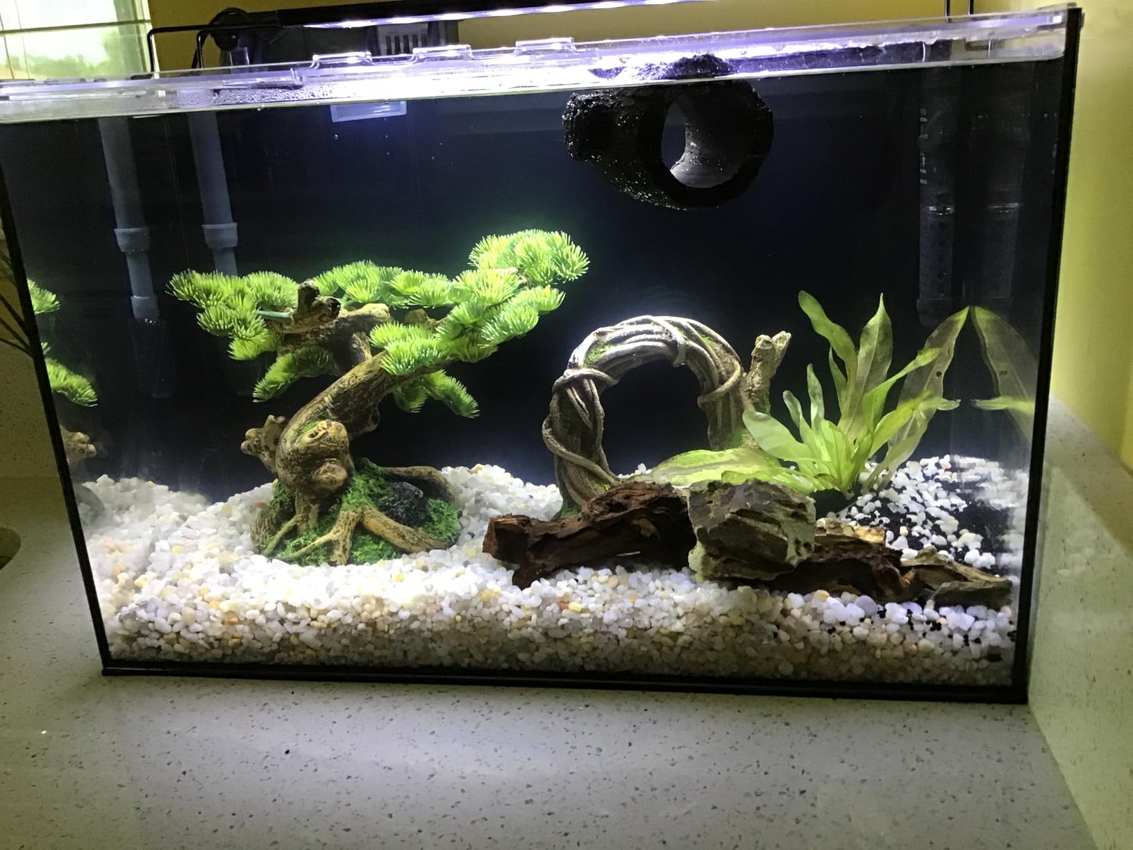 10 Gallon Aquarium Set Glass Fish Tank, Heater Self Cleaning System Filter with Media Bright Light Cleaning Tool, Leak-Proof Clear Rimless Betta Tropical Freshwater Fish customer photo 1