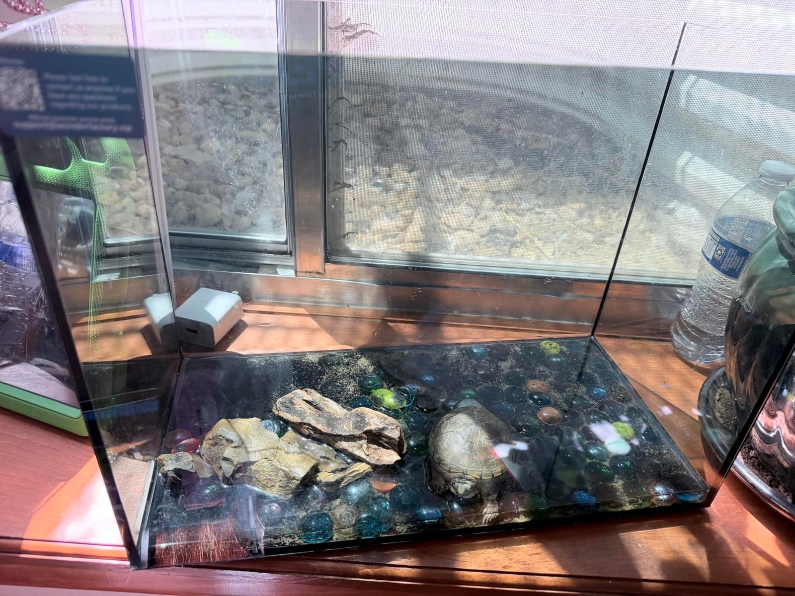 10 Gallon Aquarium Set Glass Fish Tank, Heater Self Cleaning System Filter with Media Bright Light Cleaning Tool, Leak-Proof Clear Rimless Betta Tropical Freshwater Fish customer photo 2