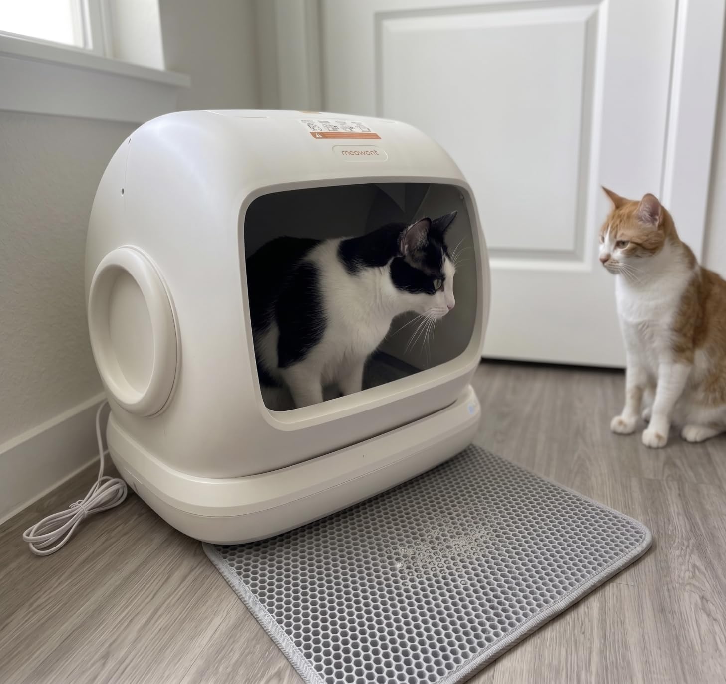 Meowant Self-Cleaning Cat Litter Box, 106L Large Capacity for Multiple Cats customer photo 1