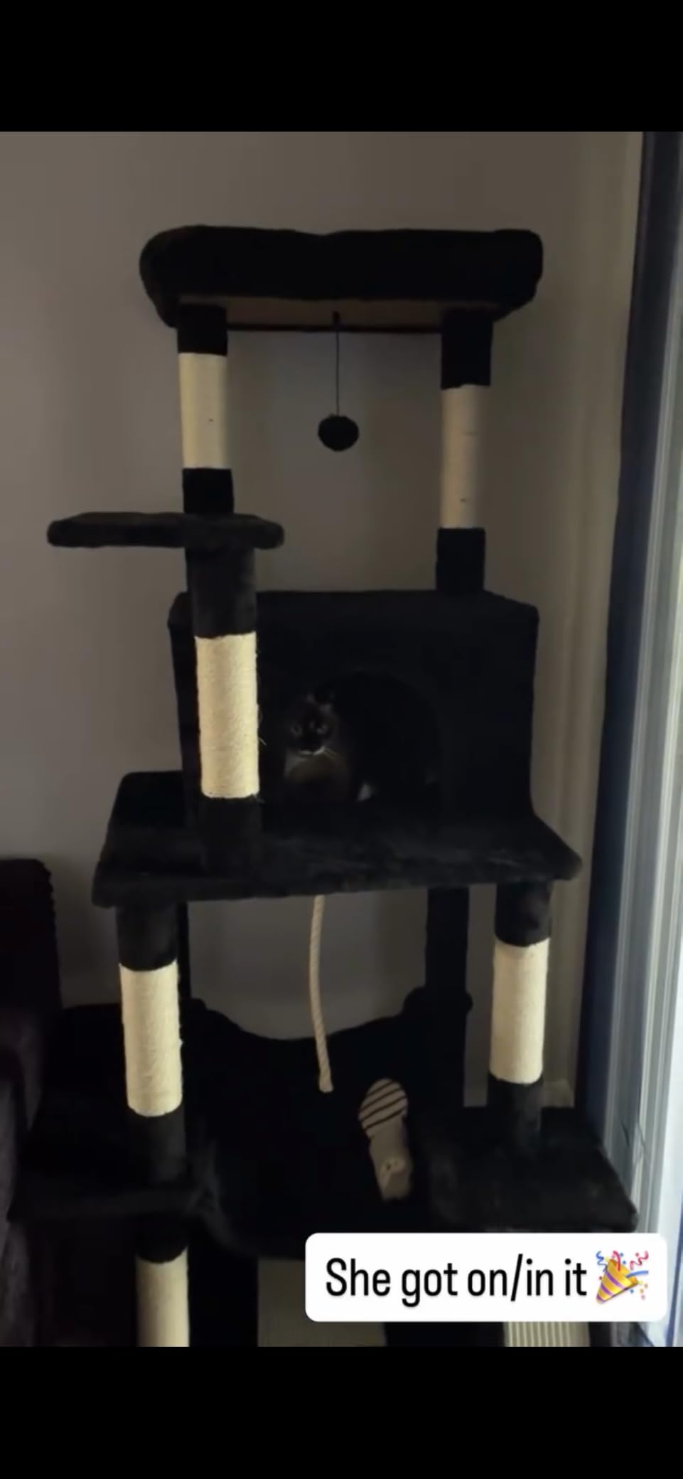 Cat Craft Cat Tree 63 Inch Cat Tower for Indoor Cats, Multi-Level Cat Tree for Large Cats 20 lbs+ Heavy Duty Cat Tower with Sisal Scratching Posts, Hammock, Condo and Extended Platform, Dark Grey customer photo 1