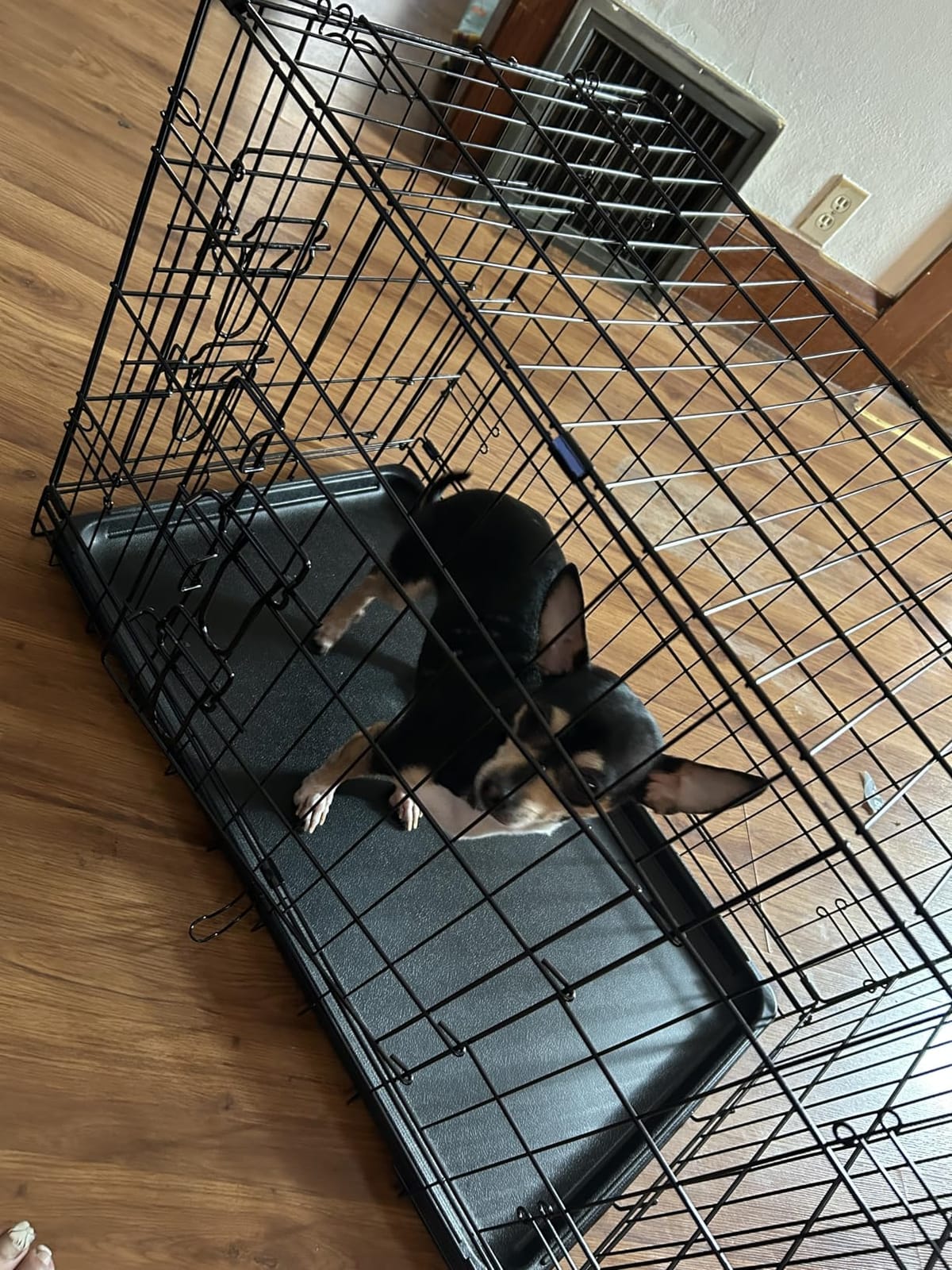 Sweetcrispy 36 Inch Dog Crate, Medium Dog Cage, Foldable Puppy Pet Kennel customer photo 2