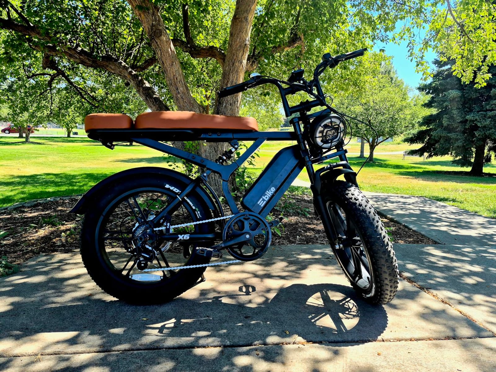Electric Bike for Adults,48V Removable Battery Retro Ebike,28MPH Top Speed customer photo 1