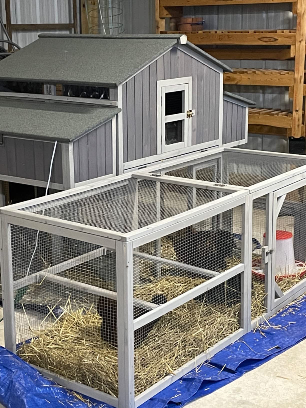 Aivituvin Extra Large Chicken Coop with Run for 6-10 Chickens, Weatherproof customer photo 2
