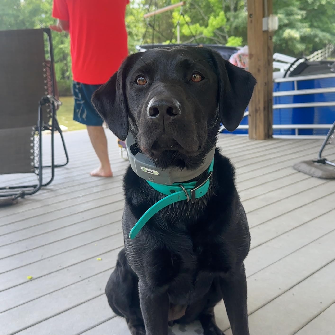 SpotOn Nova GPS Dog Fence Collar, App-Controlled Wireless Fence customer photo 1