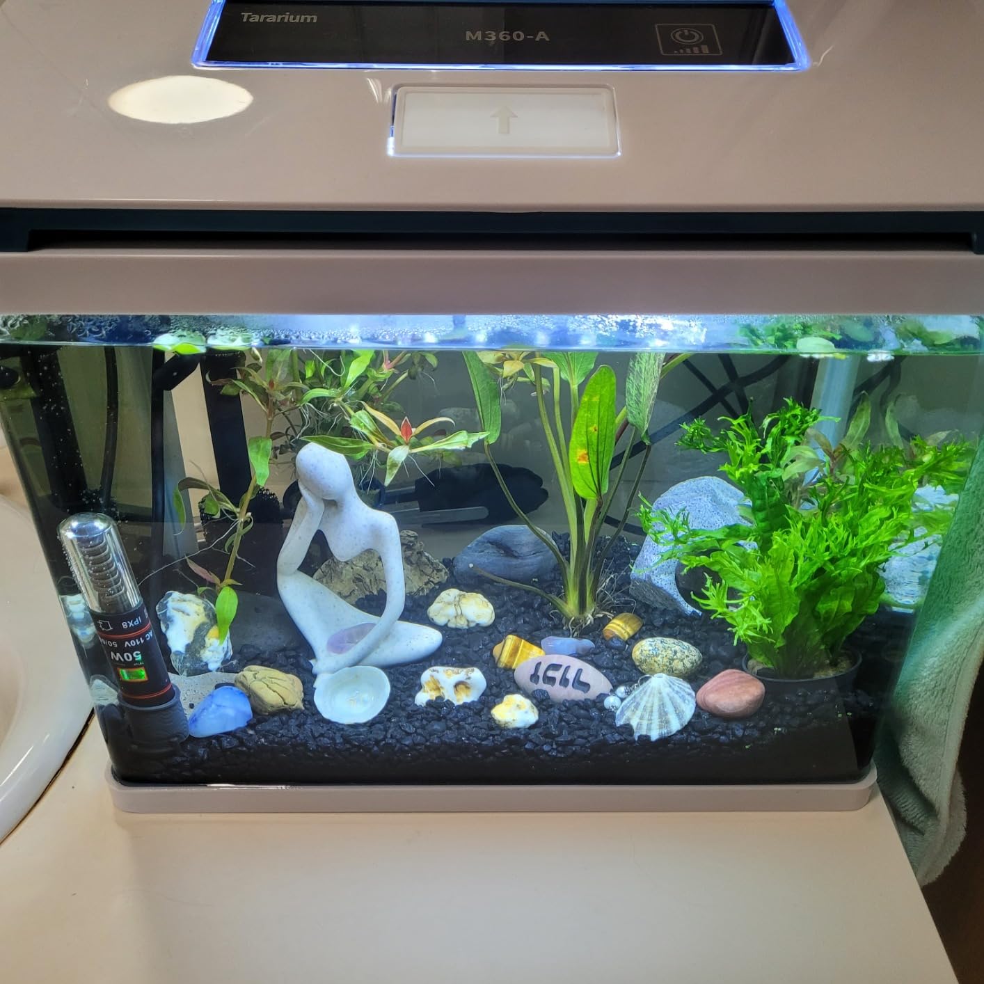 10 Gallon Fish Tank, Betta Fish Tank Smart Aquarium Kit 100% Glass Material customer photo 2