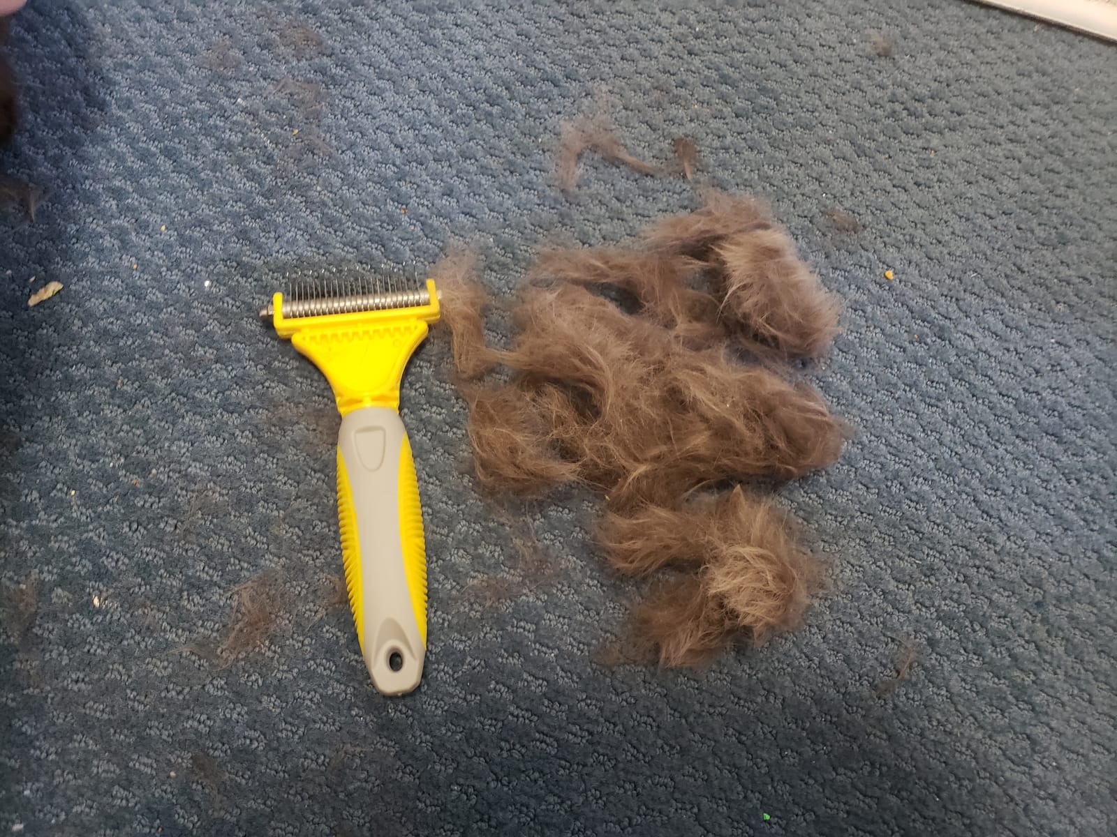 Self-Cleaning Deshedding Dog Cat Brush, Thick Double Coat Undercoat Rake customer photo 1