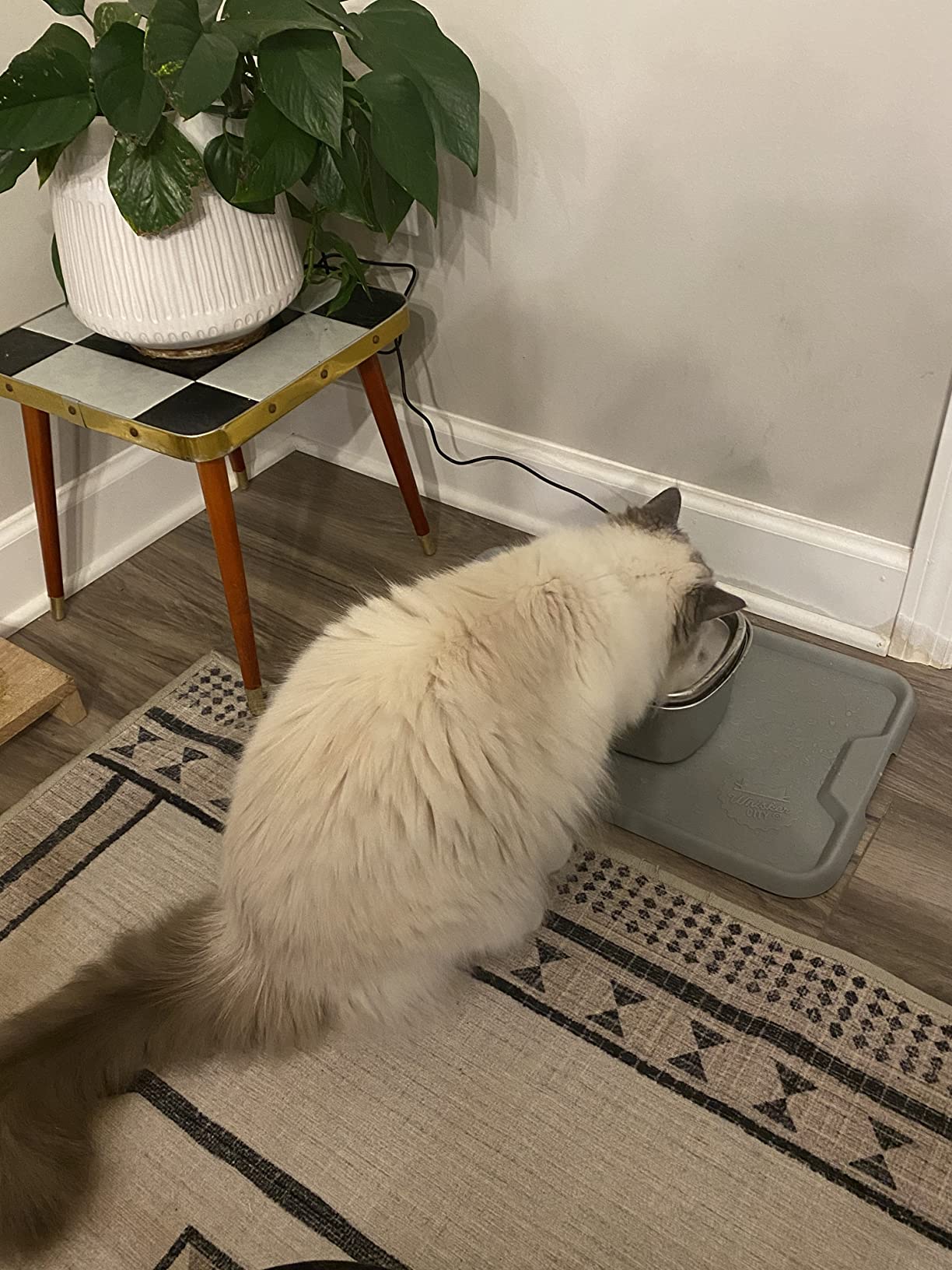 Dog Water Fountain for Large Dogs, 8L/270oz Stainless Steel Dog Bowl customer photo 2