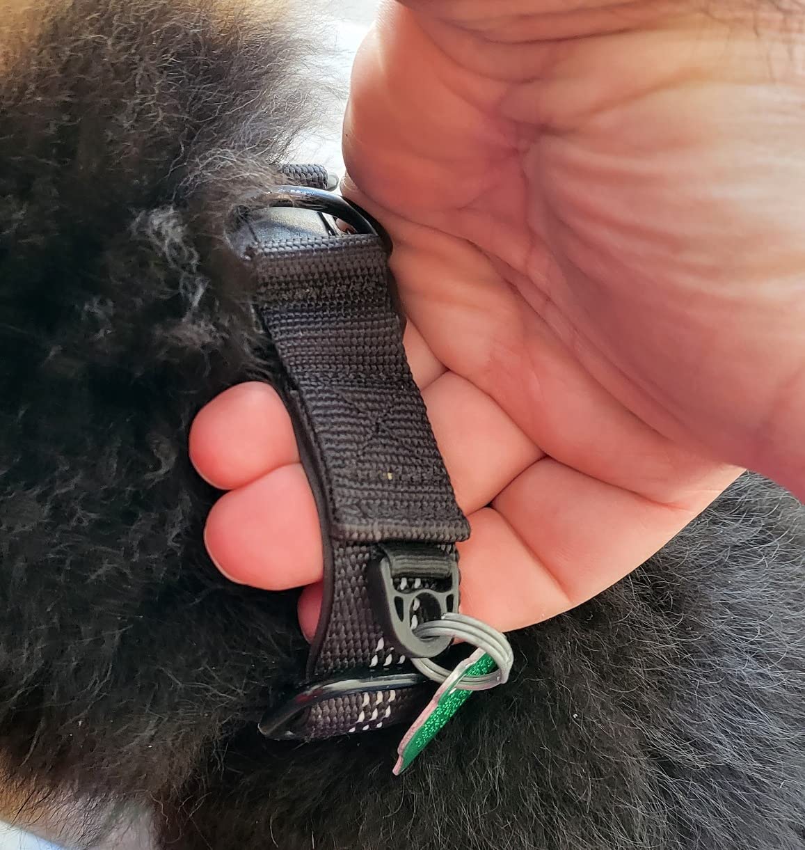 Wireless GPS Dog Collar Fence-Electric Containment System.No Monthly Fee,AdjustableBeep.Vibration & Static.48H Waterproof Rechargeable Collar for Backyard Escape Prevention & Camping customer photo 1
